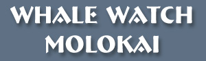 Whale Watch Molokai Logo